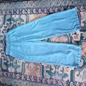 Boston Proper Tencil Denim Wide Leg Jeans